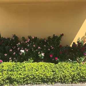 https://cityscape-at-chelsea-manor-new-kingston-studio.hotelsochorios.net